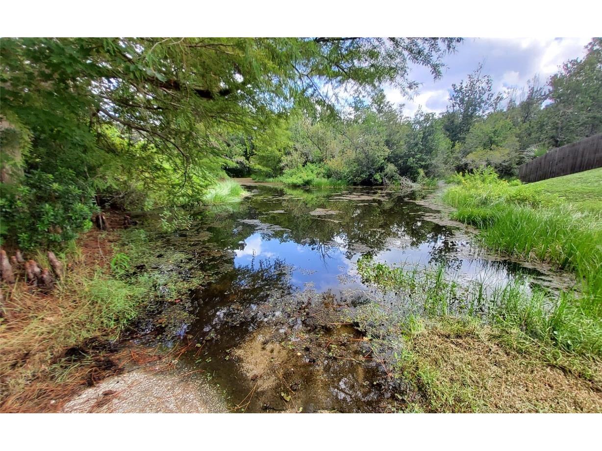 16067 SE 13th Street Ocklawaha FL 32179 - North Lake O6337907 image19