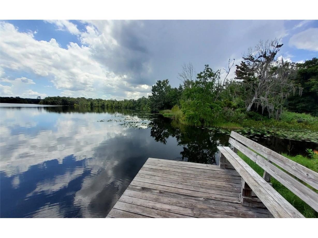 16067 SE 13th Street Ocklawaha FL 32179 - North Lake O6337907 image26