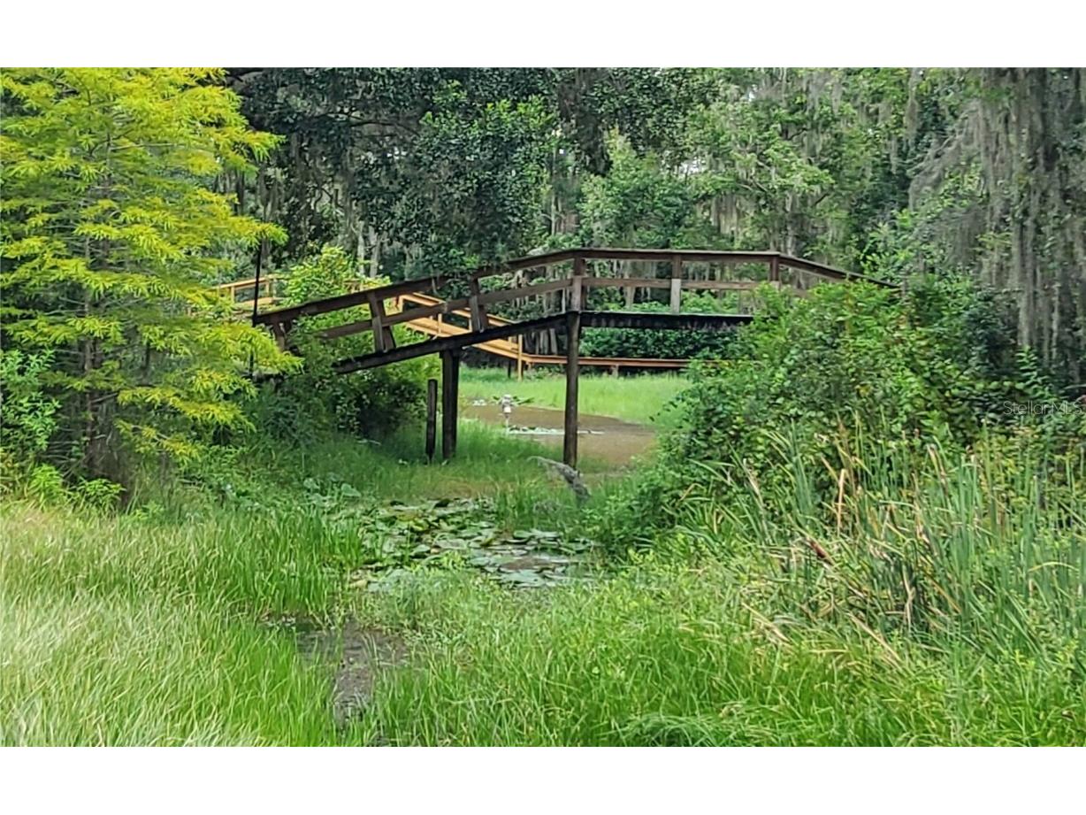 16067 SE 13th Street Ocklawaha FL 32179 - North Lake O6337907 image30