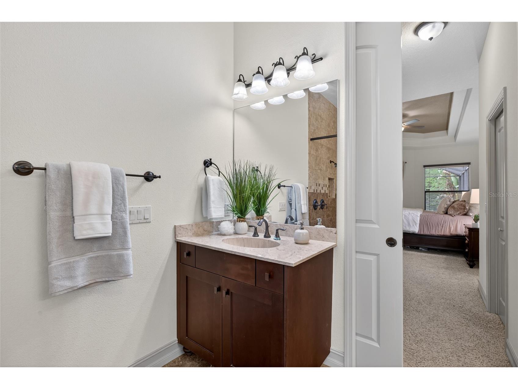 1607 Abyss Drive Odessa FL 33556 TB8495200 image29