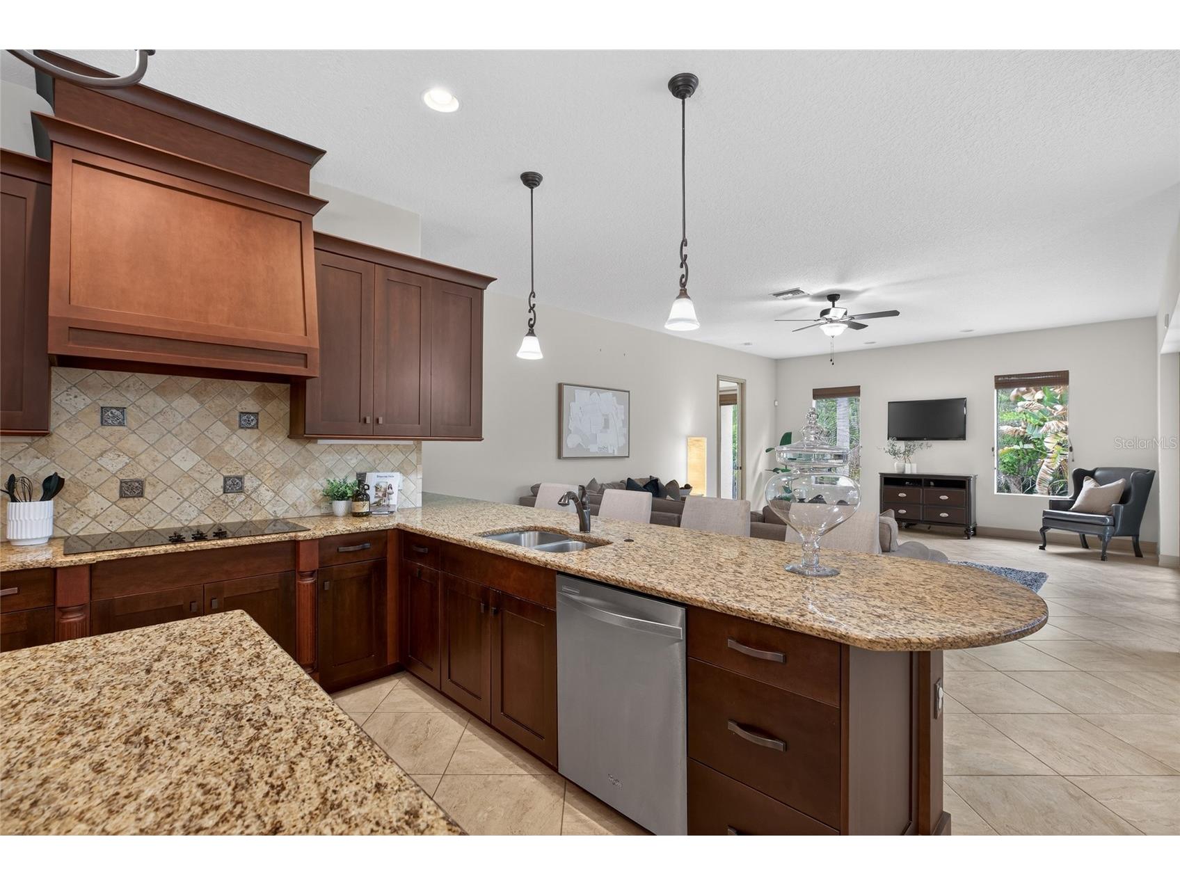 1607 Abyss Drive Odessa FL 33556 TB8495200 image42