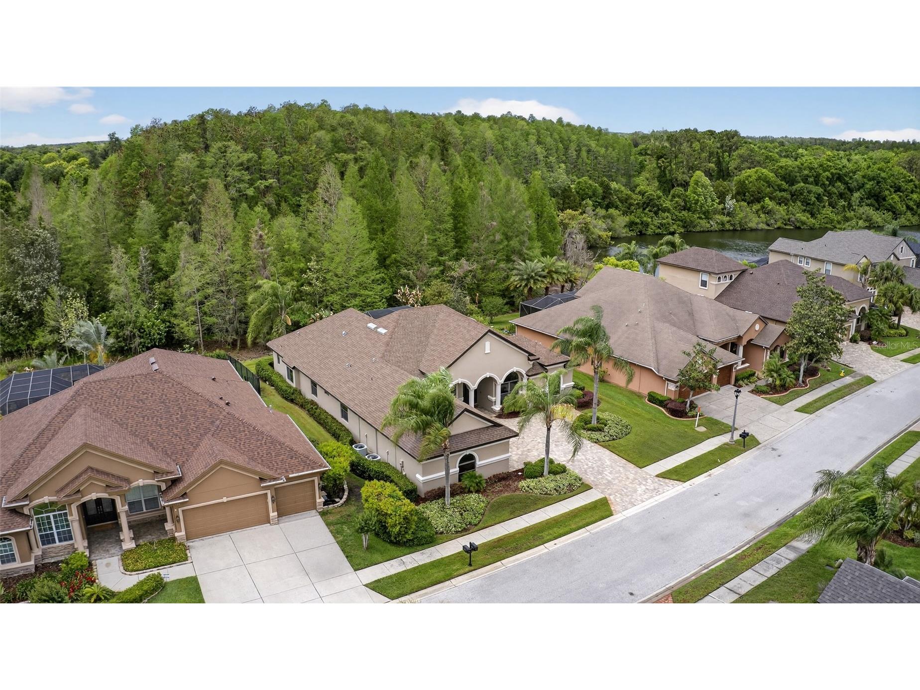 1607 Abyss Drive Odessa FL 33556 TB8495200 image64