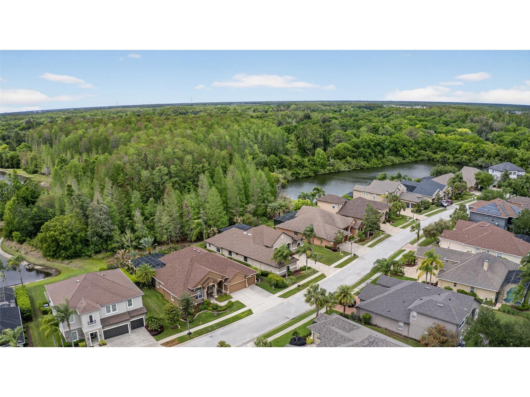 1607 Abyss Drive Odessa FL 33556 TB8495200 image66
