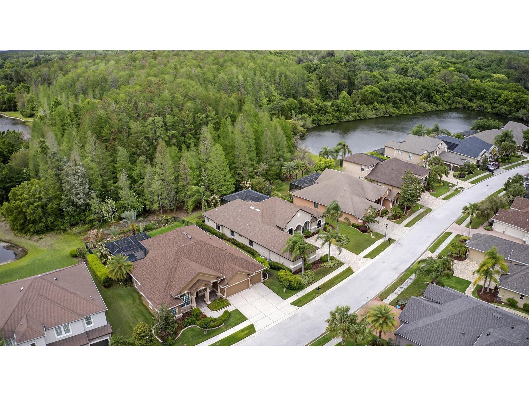 1607 Abyss Drive Odessa FL 33556 TB8495200 image67