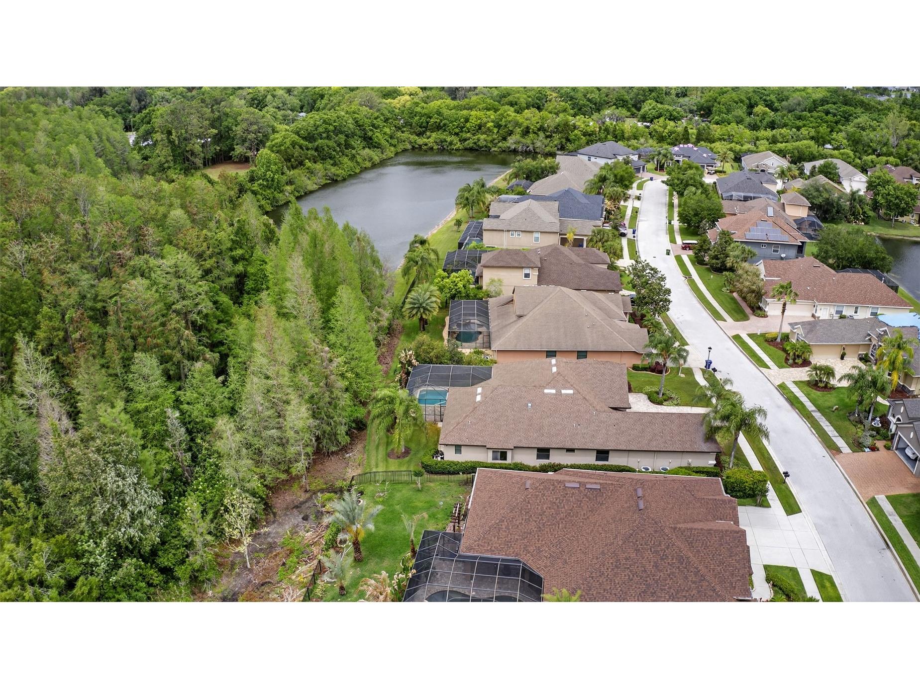 1607 Abyss Drive Odessa FL 33556 TB8495200 image68