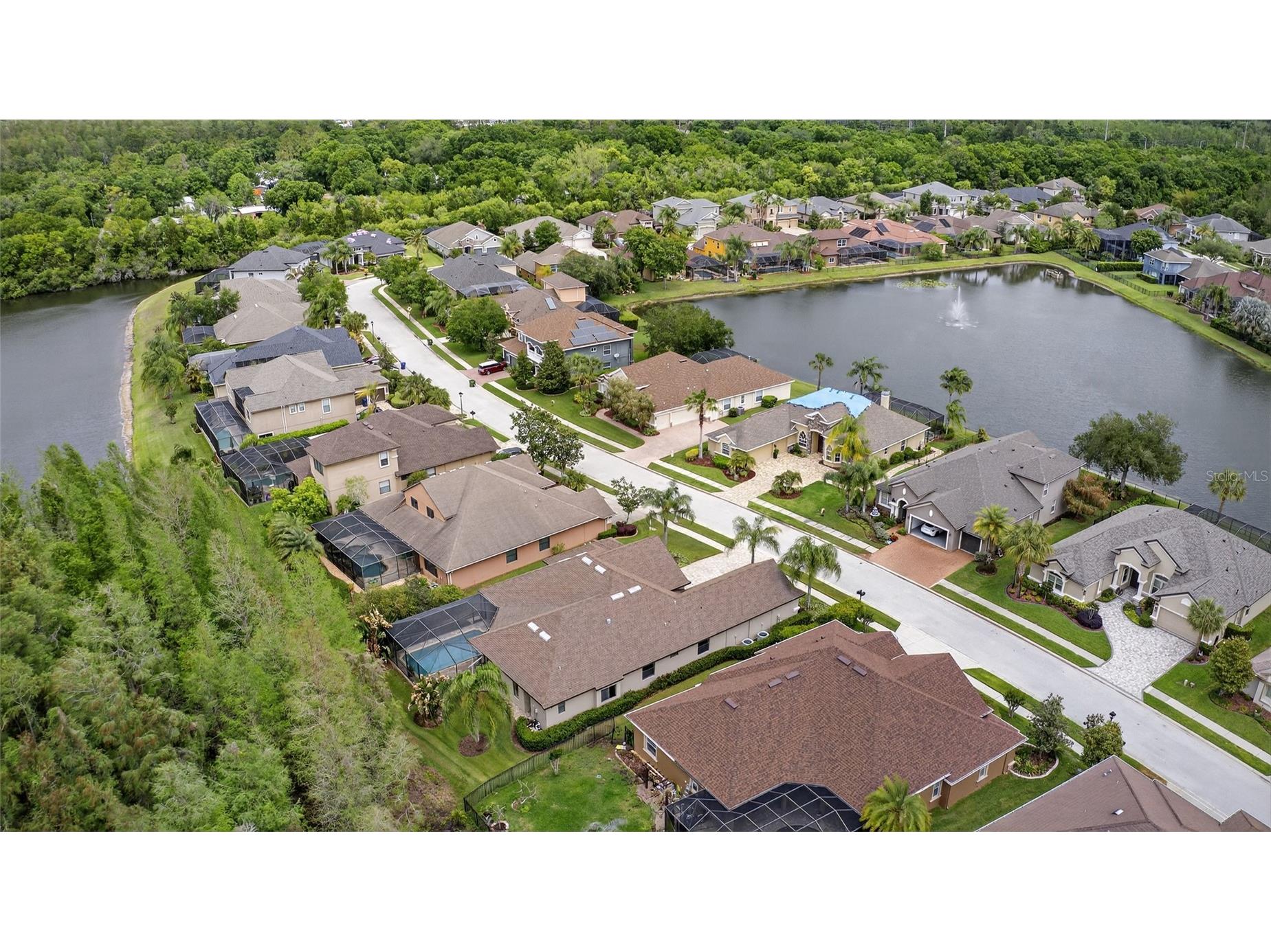 1607 Abyss Drive Odessa FL 33556 TB8495200 image69