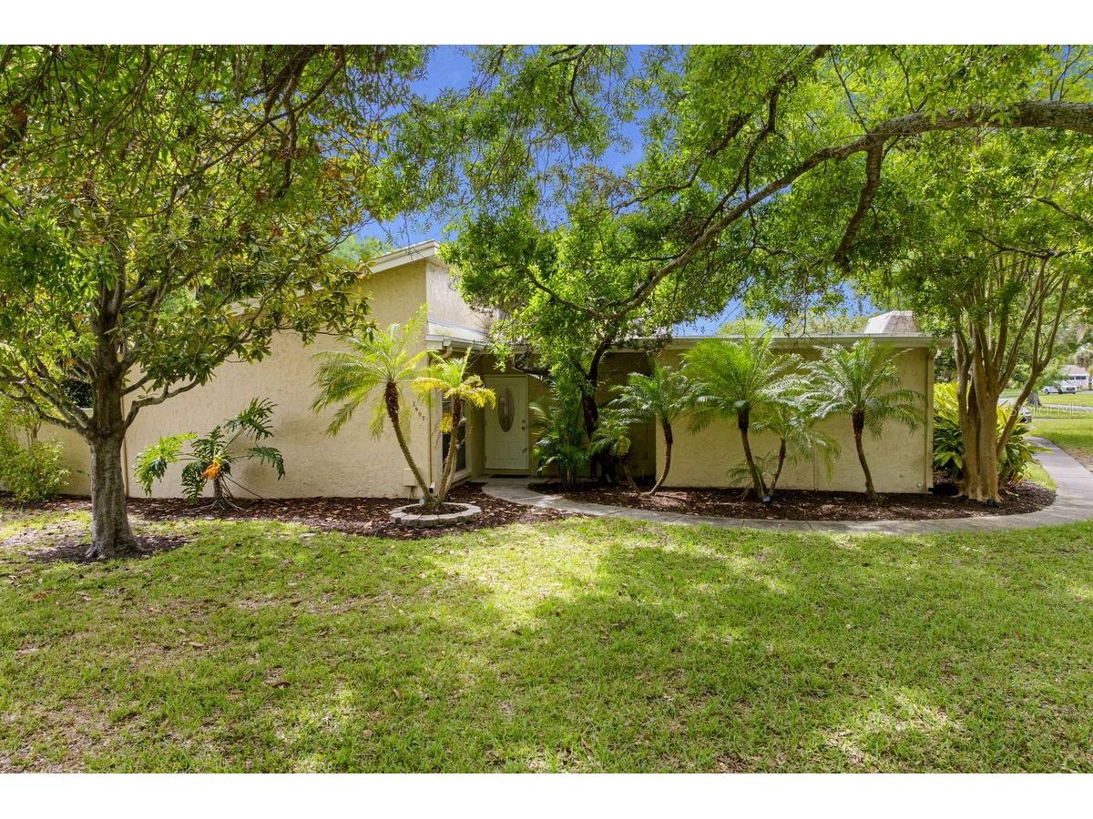 1607 Amberlea Drive S Dunedin FL 34698 TB8496475 image1