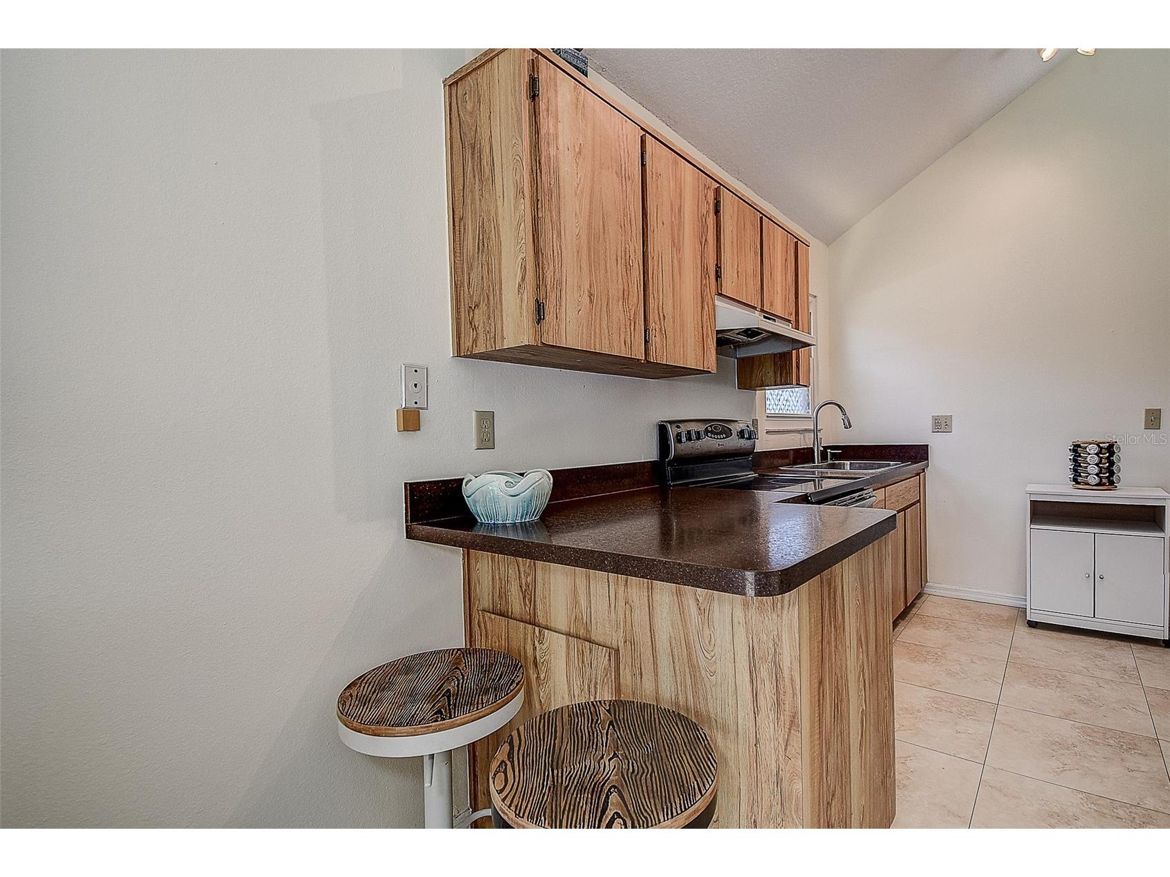 1607 Gulf Road Tarpon Springs FL 34689 W7883452 image57