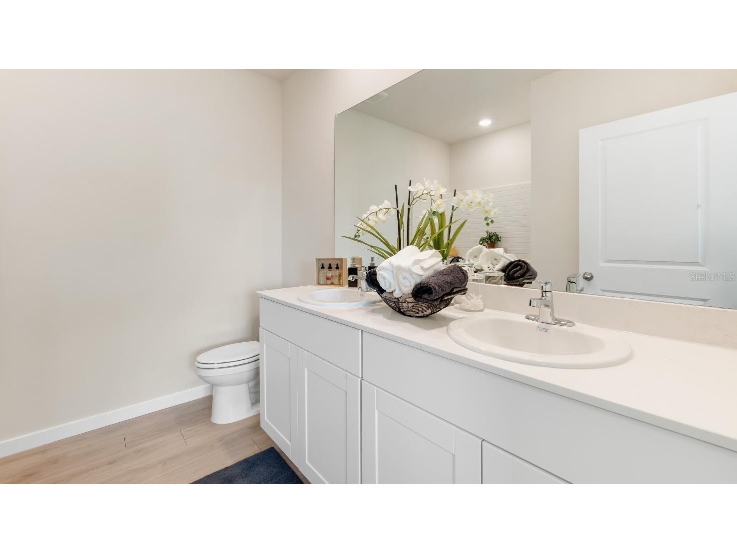 1607 Love Grass Terrace Parrish FL 34219 A4694619 image11