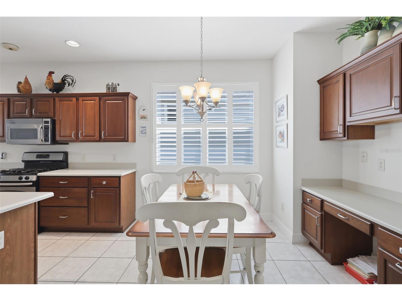 1607 Mount Croghan Trail The Villages FL 32162 O6390915 image21