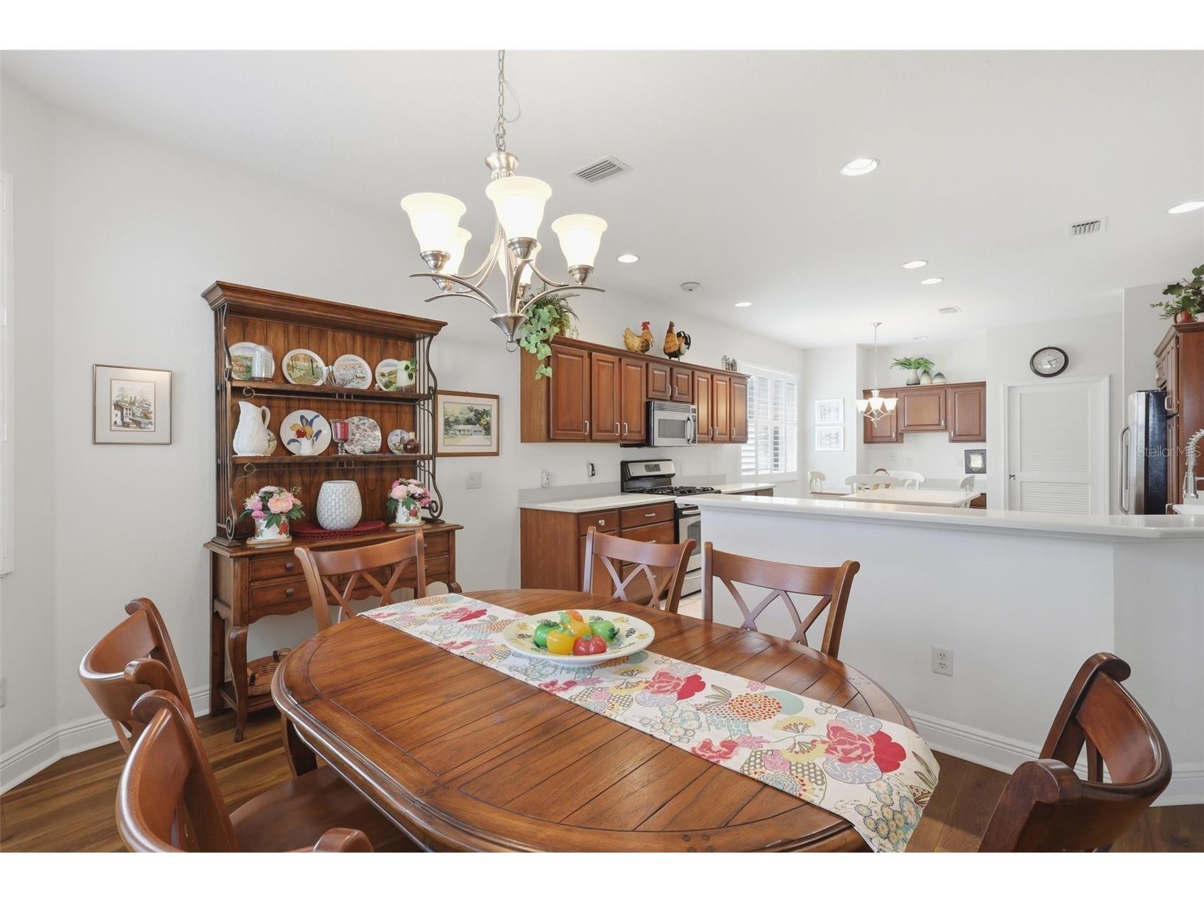 1607 Mount Croghan Trail The Villages FL 32162 O6390915 image28