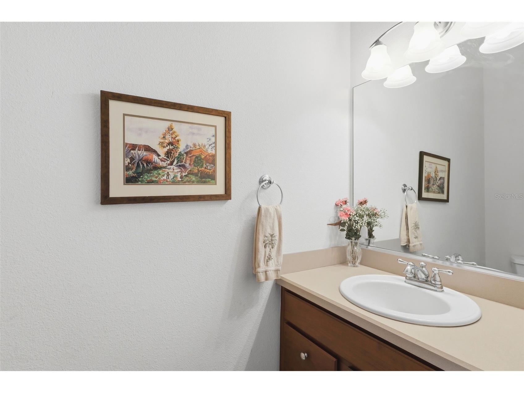 1607 Mount Croghan Trail The Villages FL 32162 O6390915 image35