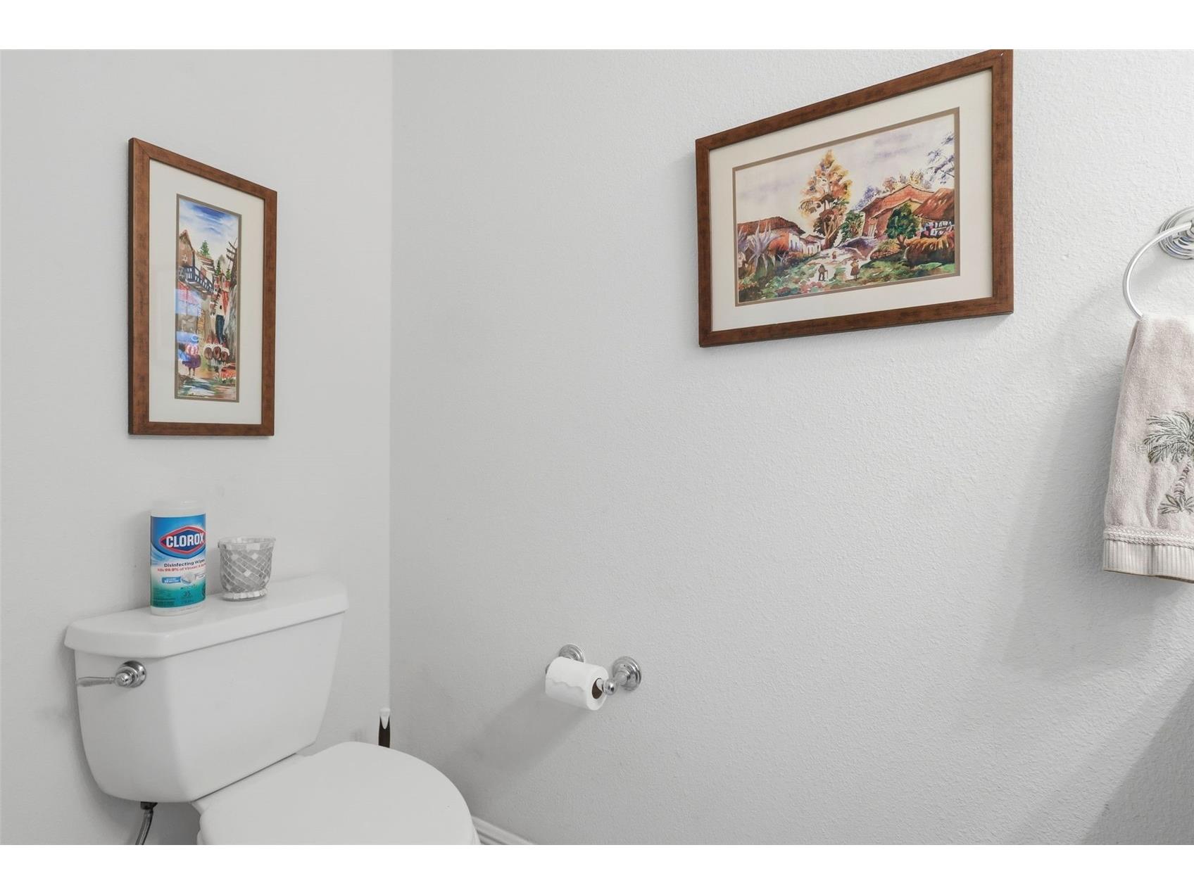 1607 Mount Croghan Trail The Villages FL 32162 O6390915 image36