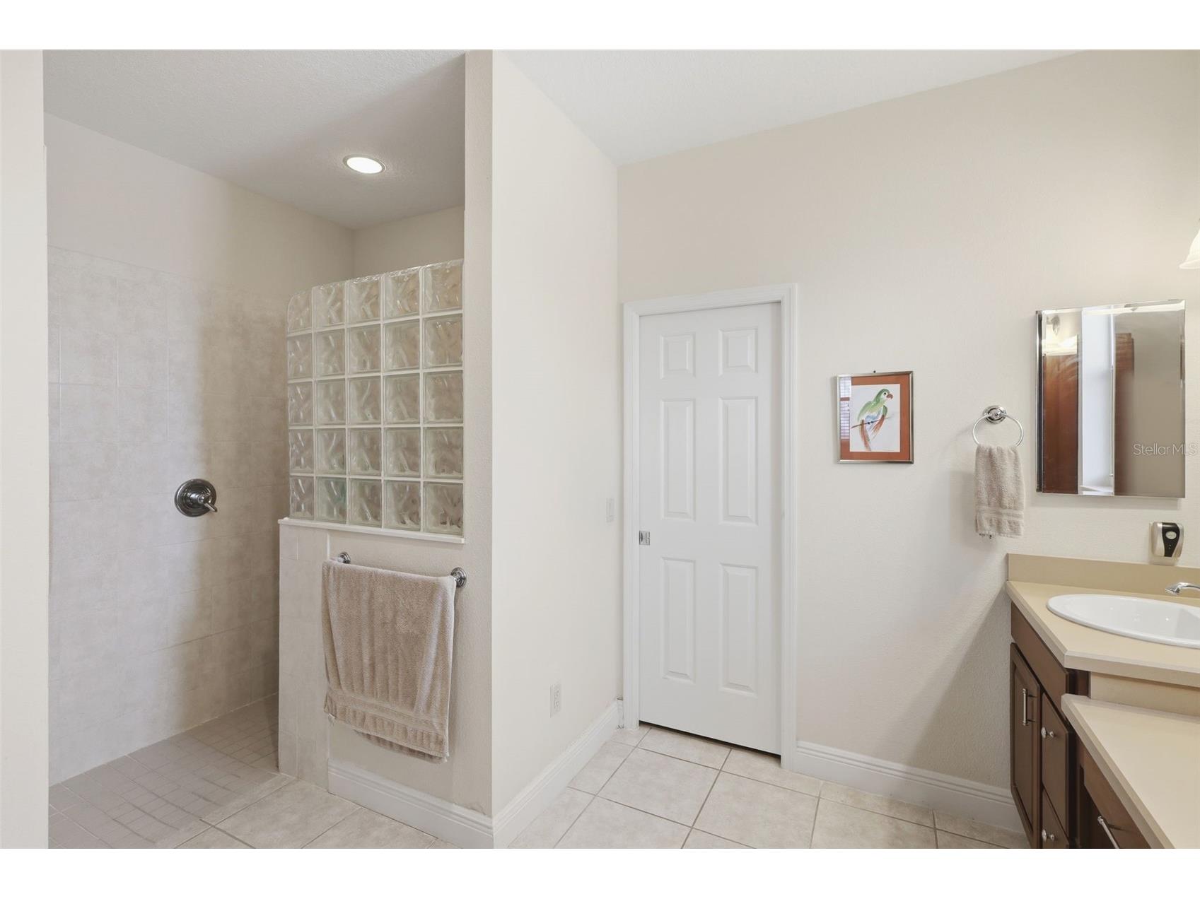 1607 Mount Croghan Trail The Villages FL 32162 O6390915 image38