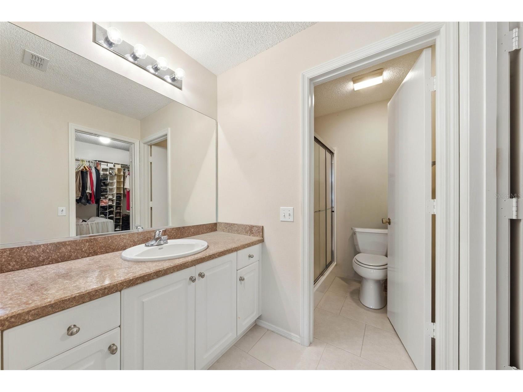 1607 Navidad Street The Villages FL 32162 G5112984 image18