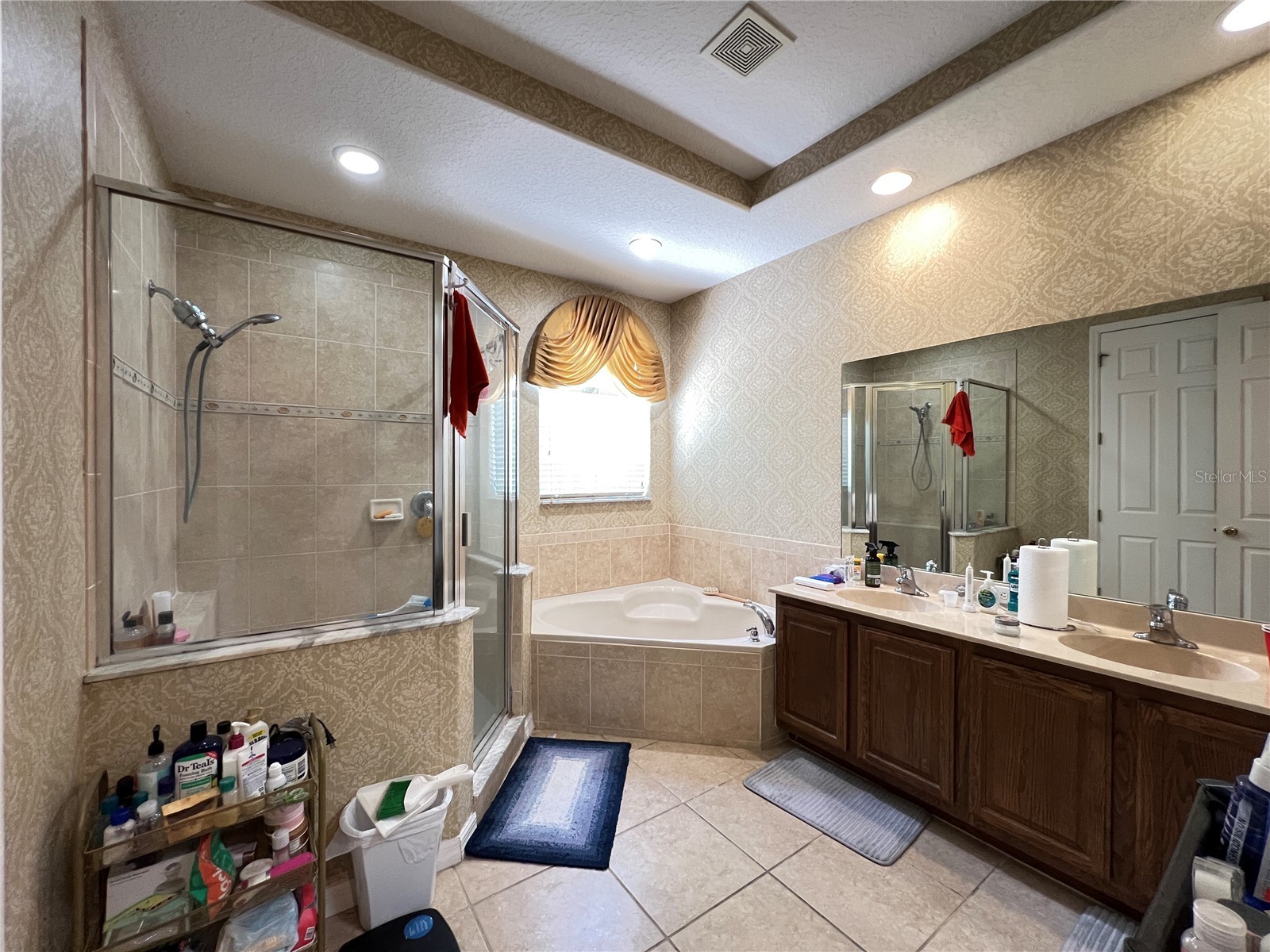 1607 Tail Feather Drive Kissimmee FL 34746 O6406573 image31