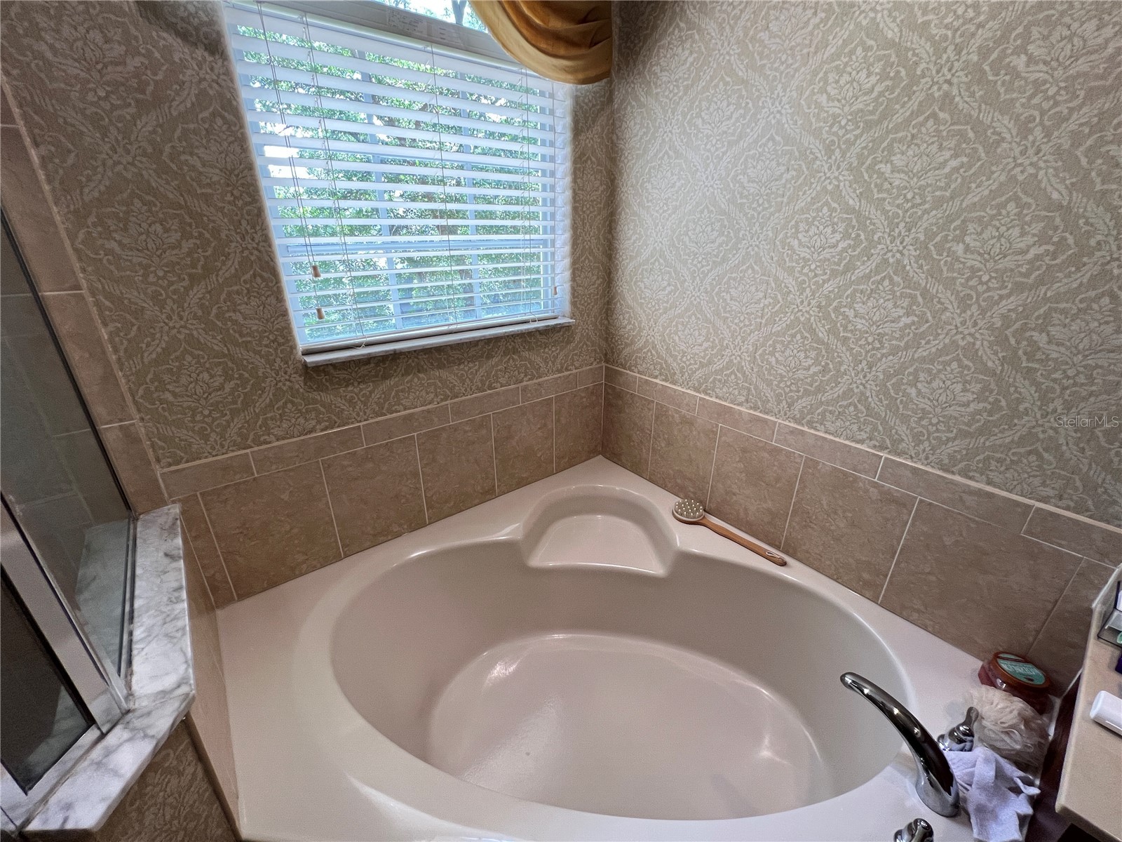 1607 Tail Feather Drive Kissimmee FL 34746 O6406573 image32
