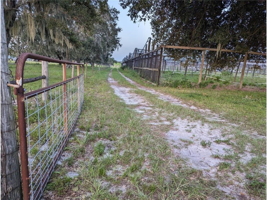 16070 Carlton Lake Road Wimauma FL 33598 T3470775 image10