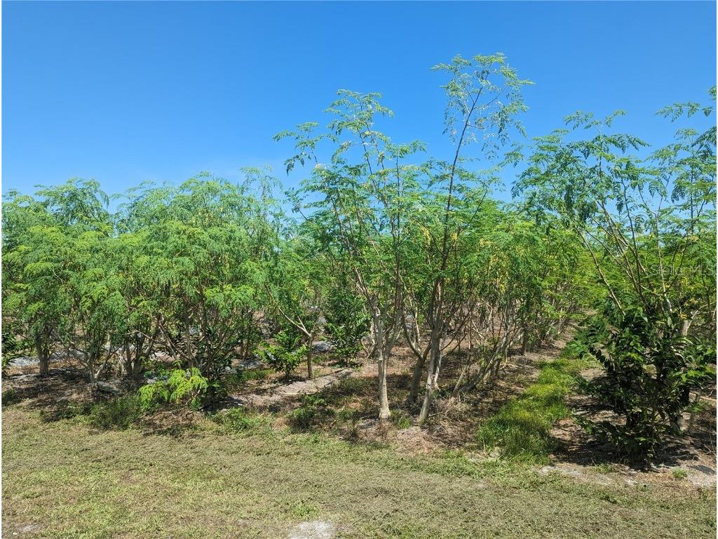 16070 Carlton Lake Road Wimauma FL 33598 T3470775 image16