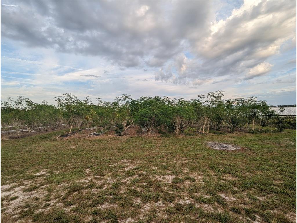 16070 Carlton Lake Road Wimauma FL 33598 T3470775 image18