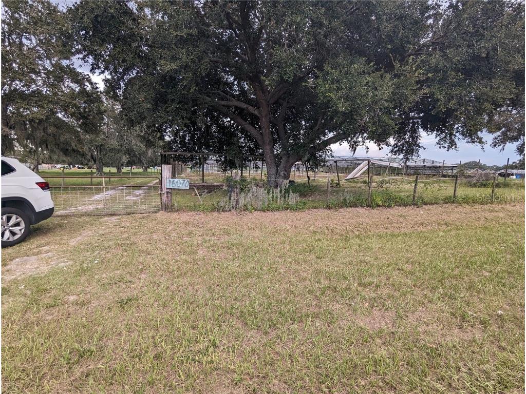 16070 Carlton Lake Road Wimauma FL 33598 T3470775 image19