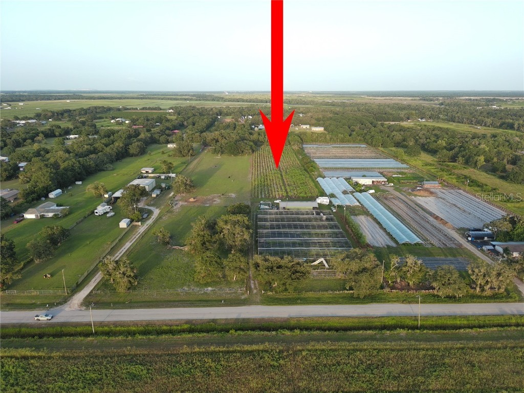 16070 Carlton Lake Road Wimauma FL 33598 T3470775 image4