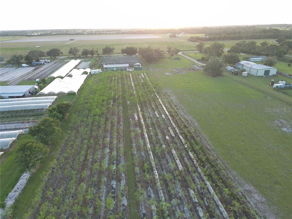 16070 Carlton Lake Road Wimauma FL 33598 T3470775 image6