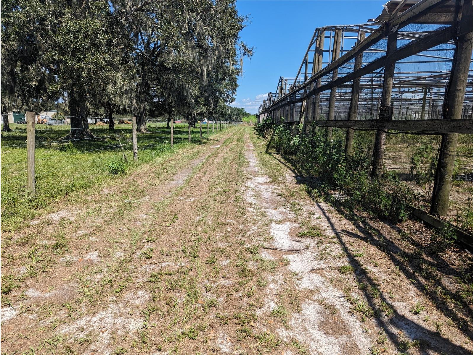 16070 Carlton Lake Road Wimauma FL 33598 TB8500017 image8