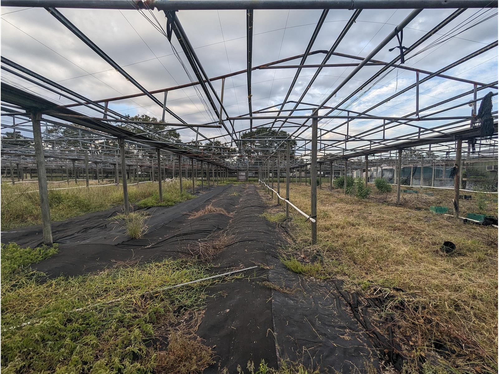 16070 Carlton Lake Road Wimauma FL 33598 TB8500017 image9