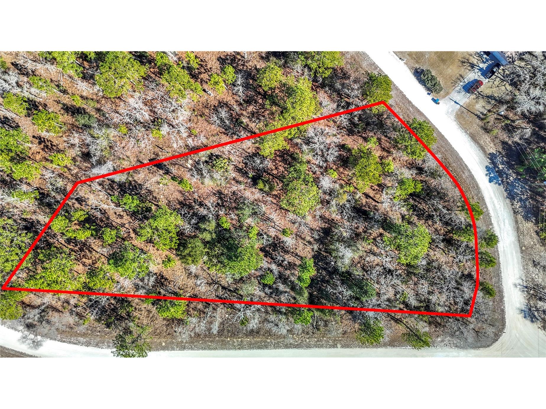16070 Sheldrake Loop Weeki Wachee FL 34614 TB8473517 image1