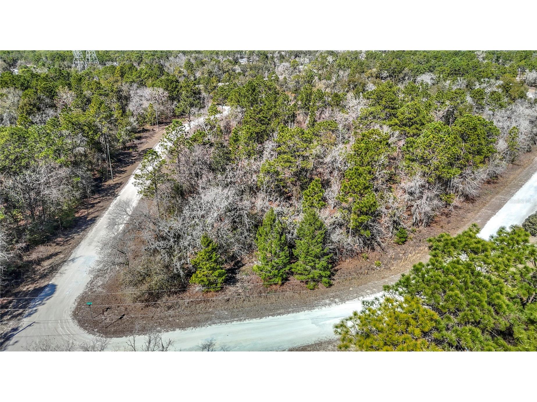 16070 Sheldrake Loop Weeki Wachee FL 34614 TB8473517 image10