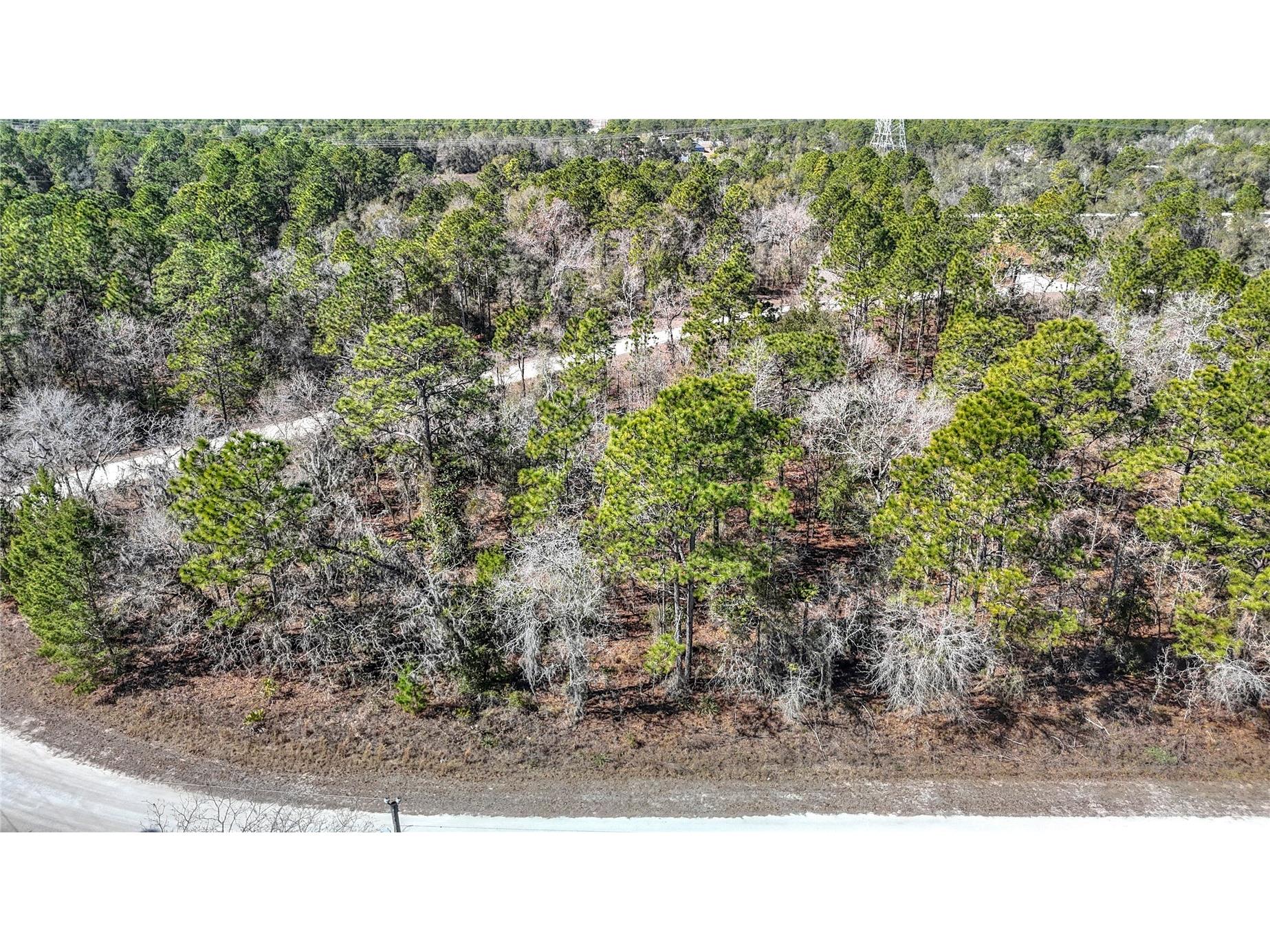 16070 Sheldrake Loop Weeki Wachee FL 34614 TB8473517 image11