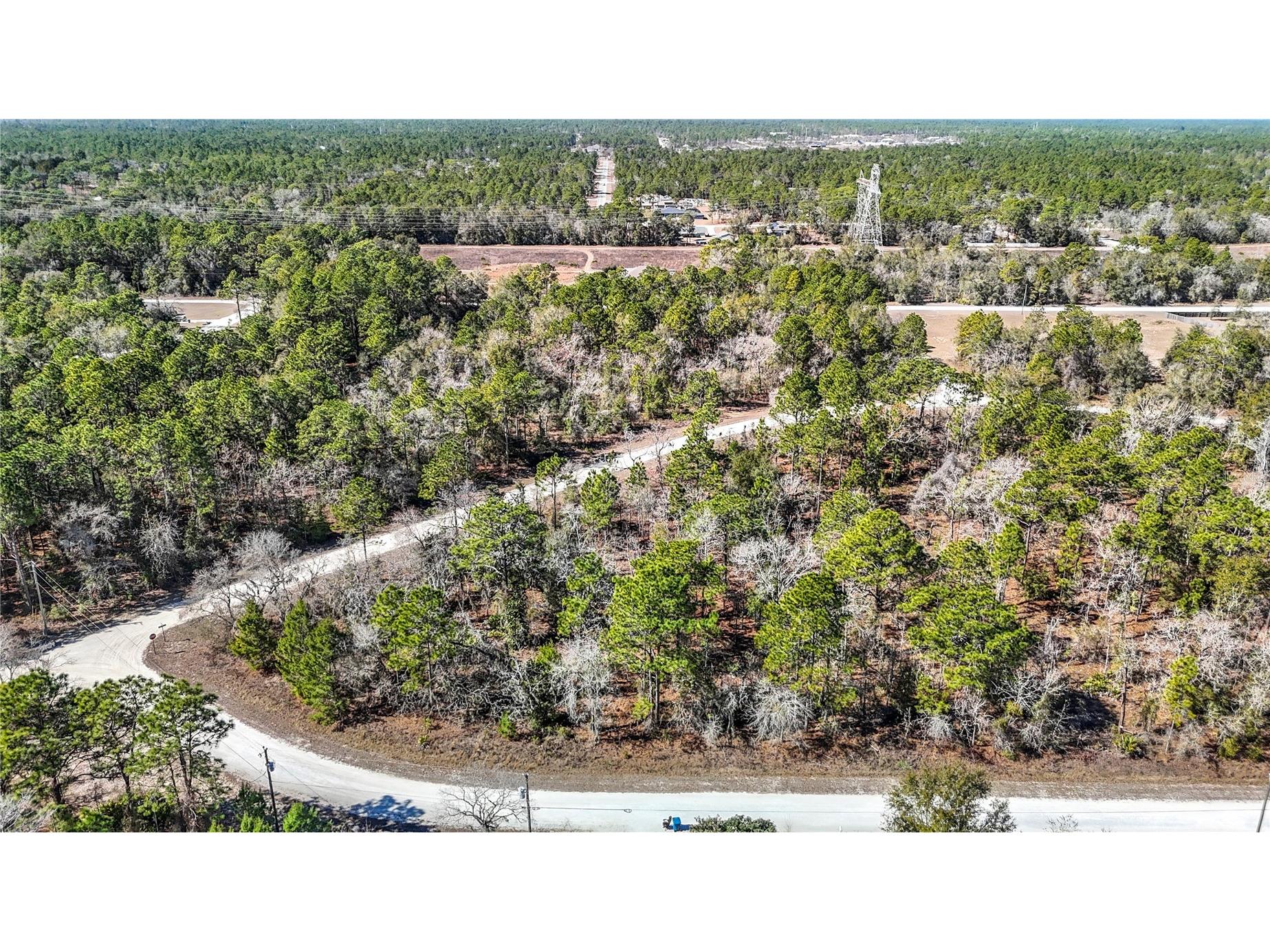 16070 Sheldrake Loop Weeki Wachee FL 34614 TB8473517 image13