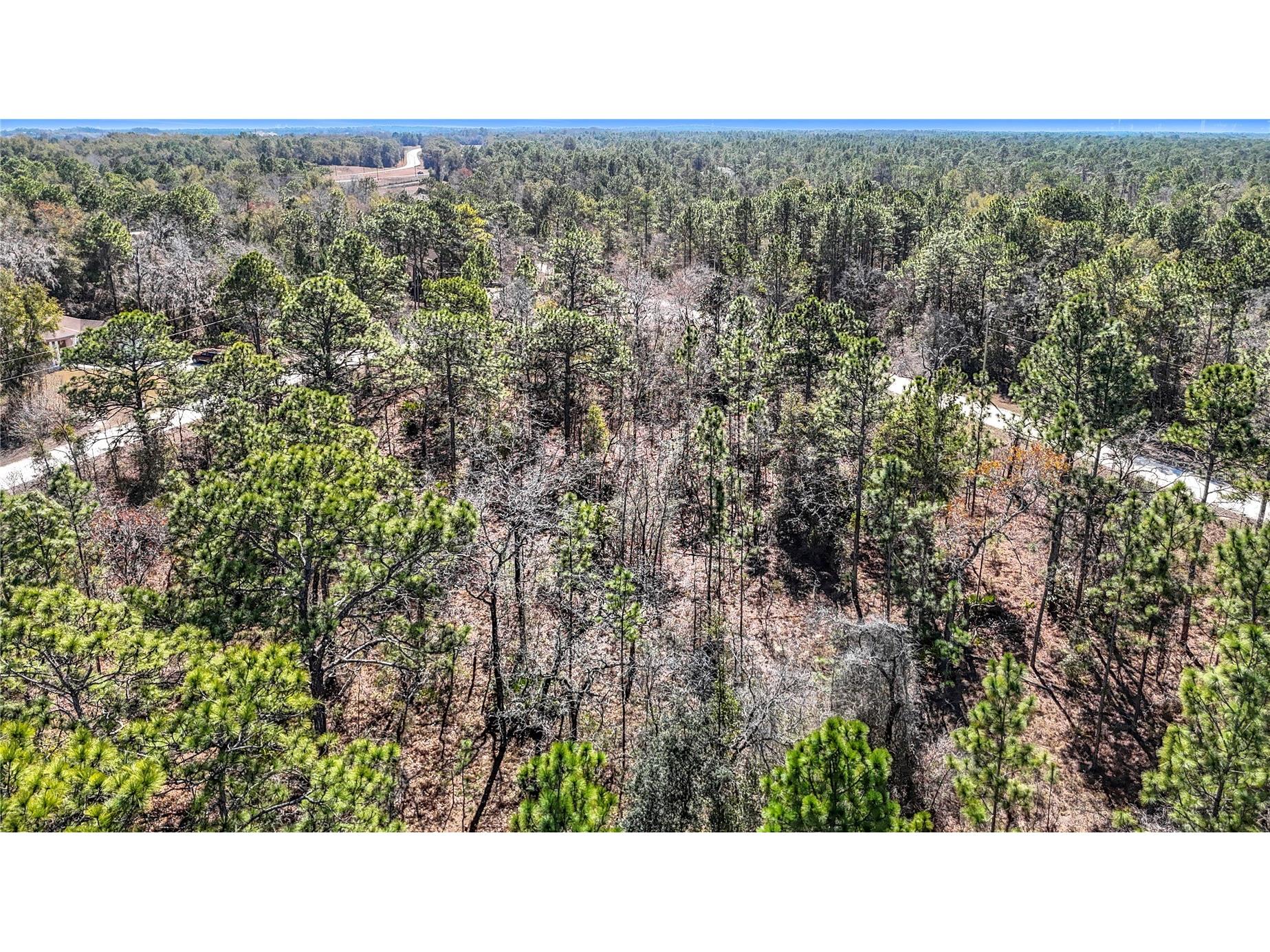 16070 Sheldrake Loop Weeki Wachee FL 34614 TB8473517 image14