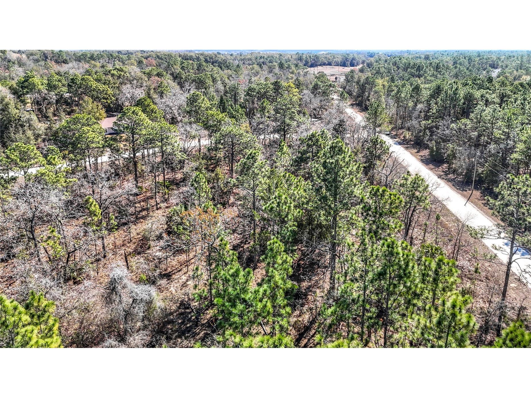 16070 Sheldrake Loop Weeki Wachee FL 34614 TB8473517 image15