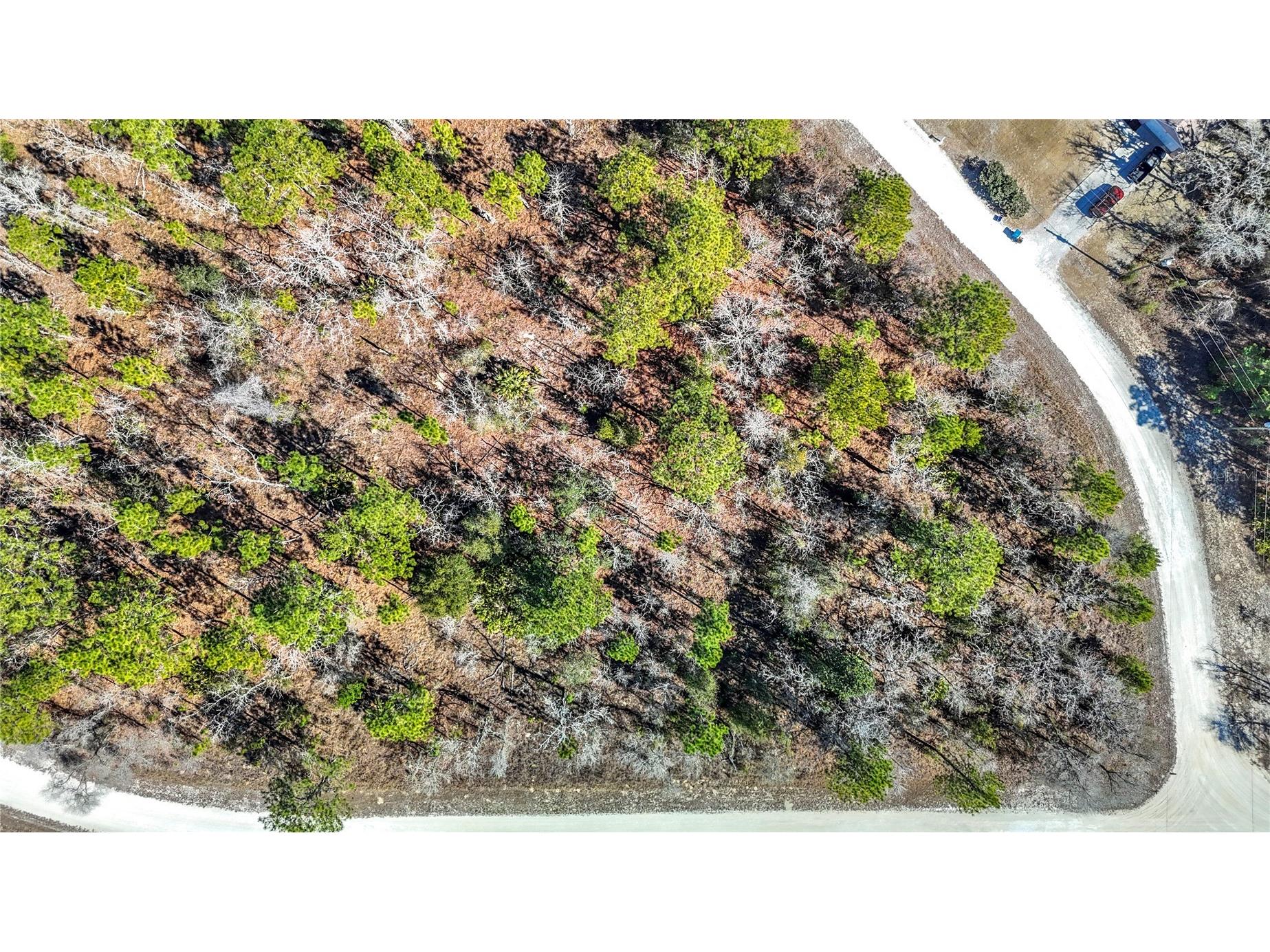 16070 Sheldrake Loop Weeki Wachee FL 34614 TB8473517 image17