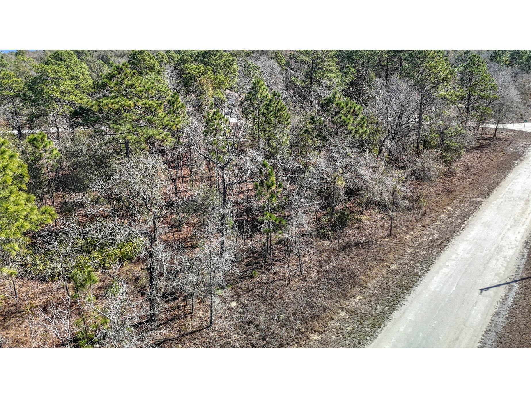 16070 Sheldrake Loop Weeki Wachee FL 34614 TB8473517 image3