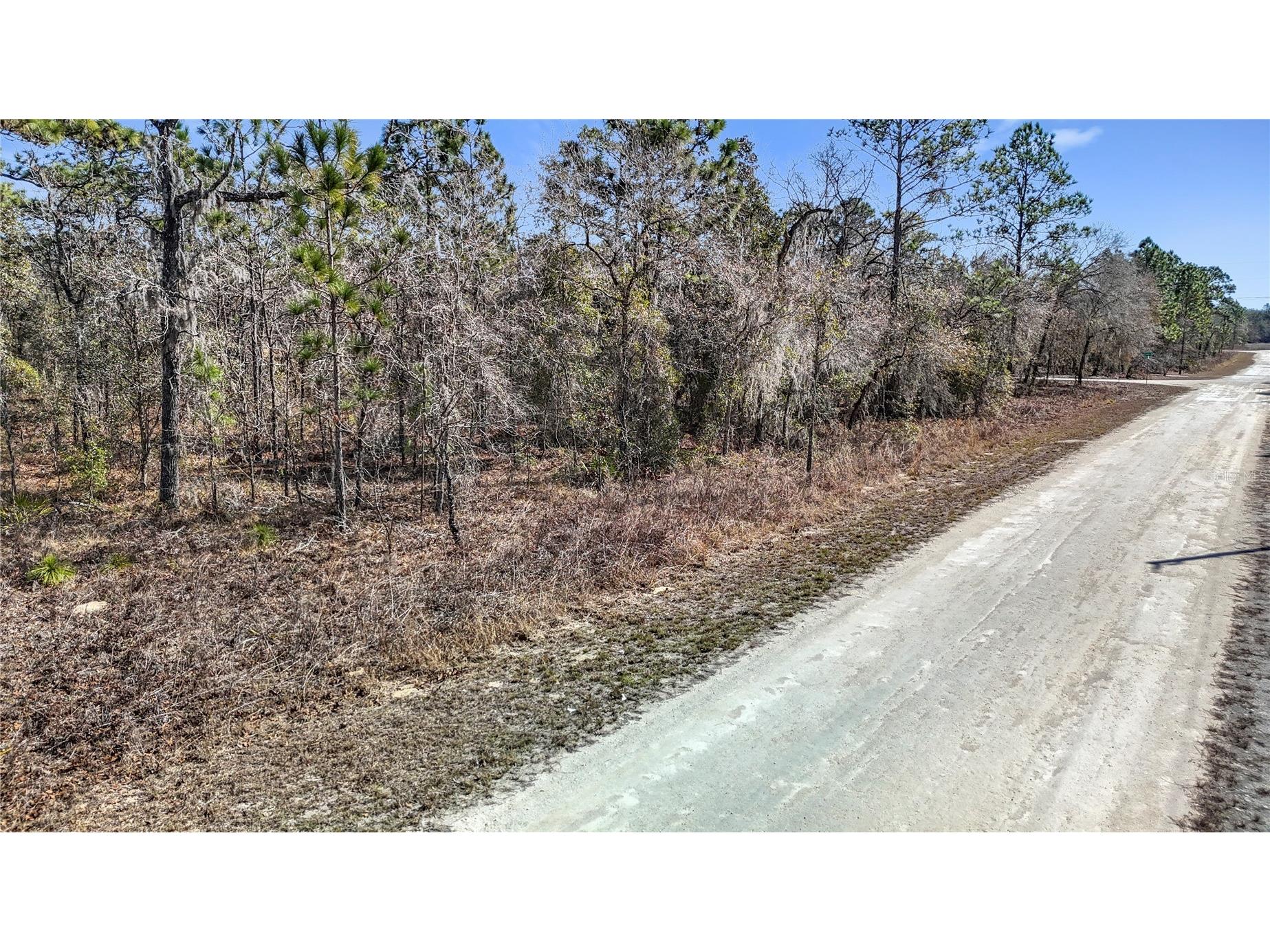 16070 Sheldrake Loop Weeki Wachee FL 34614 TB8473517 image4