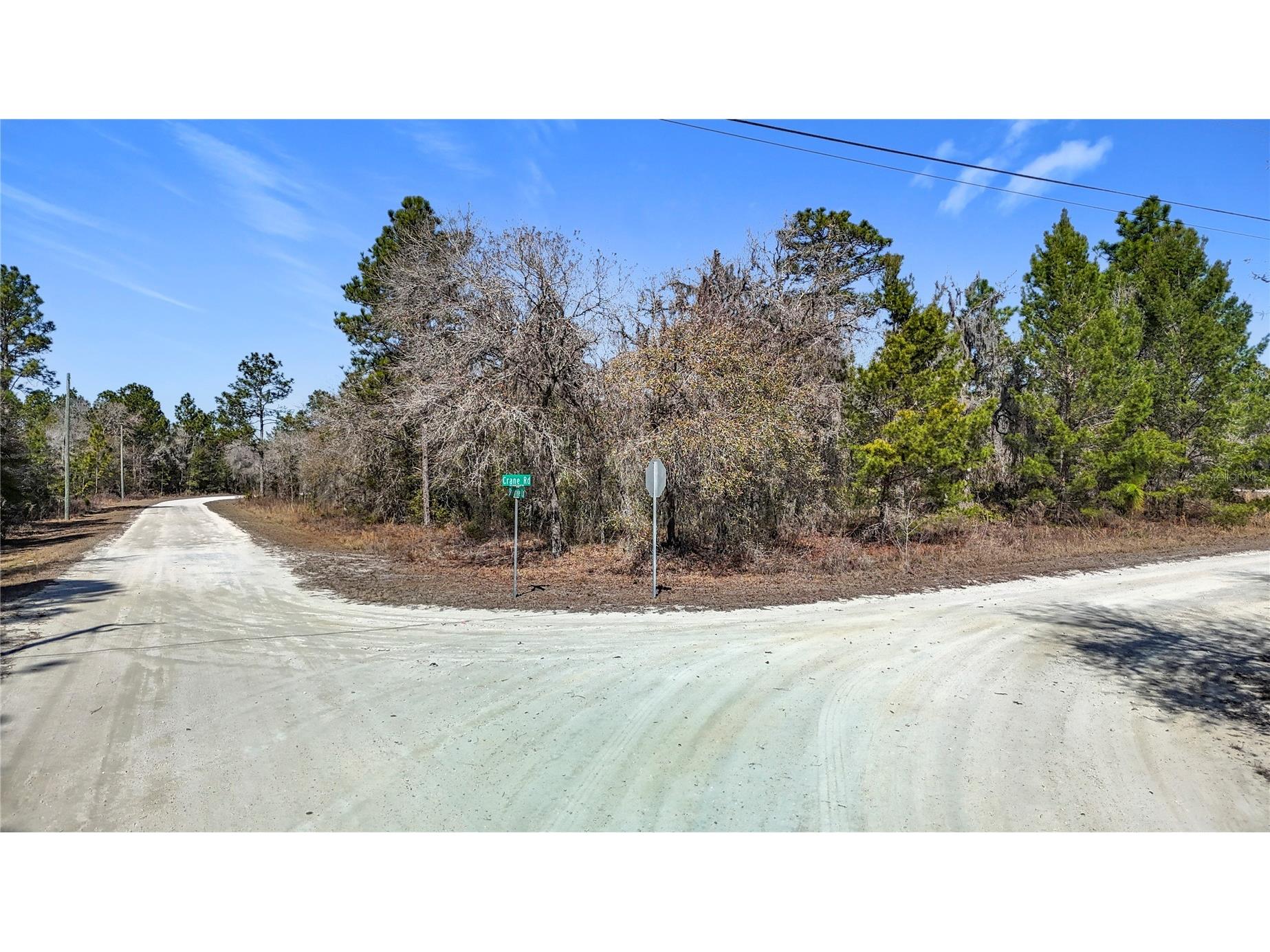 16070 Sheldrake Loop Weeki Wachee FL 34614 TB8473517 image5