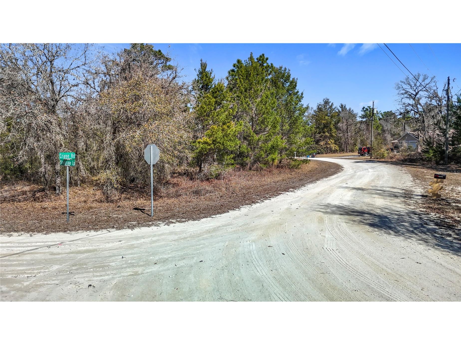 16070 Sheldrake Loop Weeki Wachee FL 34614 TB8473517 image6