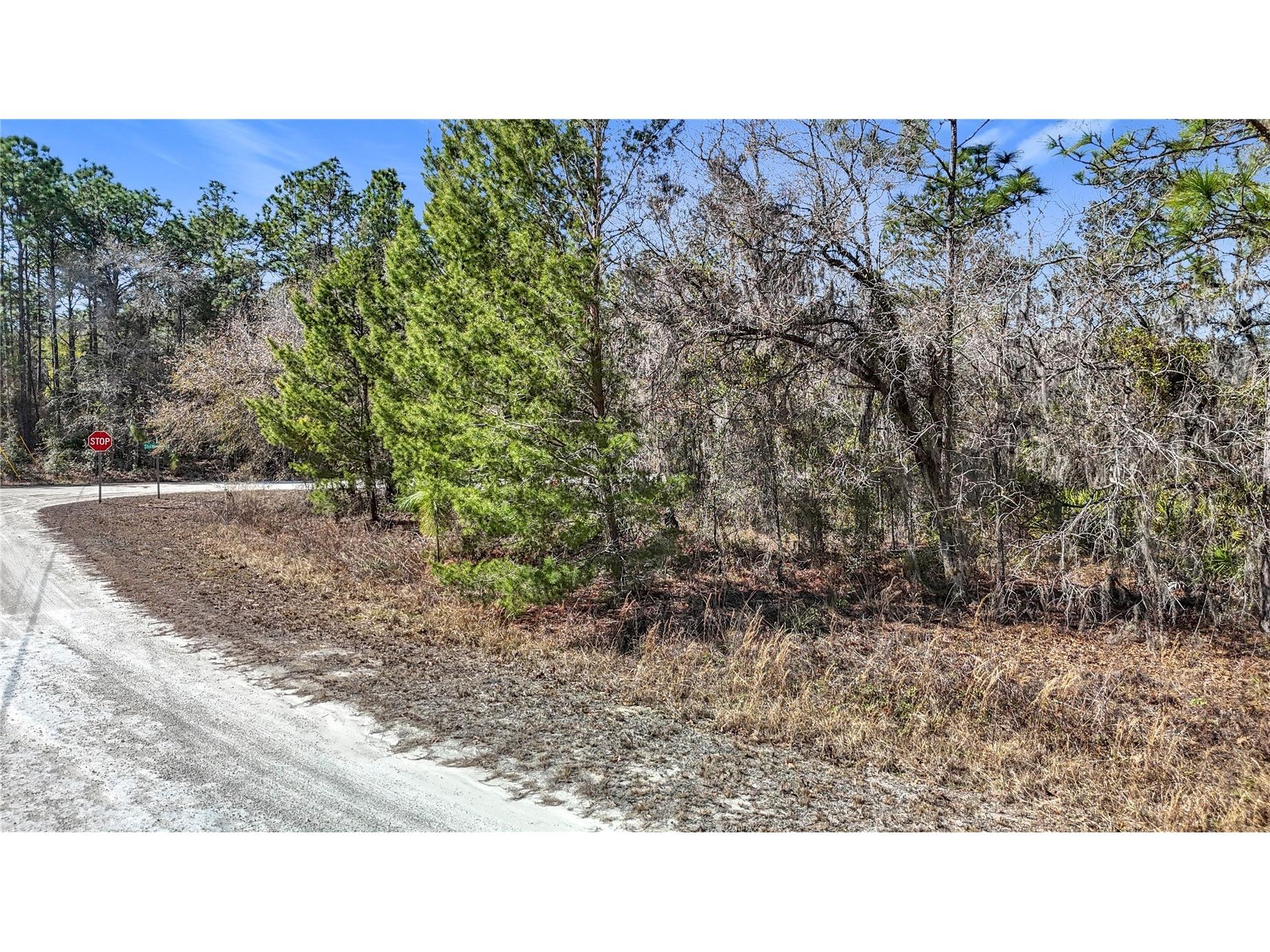 16070 Sheldrake Loop Weeki Wachee FL 34614 TB8473517 image7