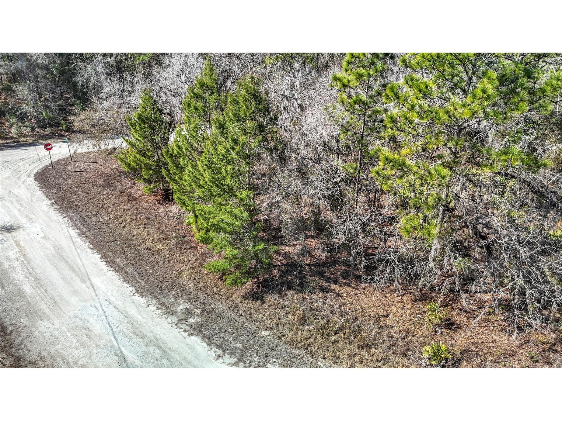 16070 Sheldrake Loop Weeki Wachee FL 34614 TB8473517 image8
