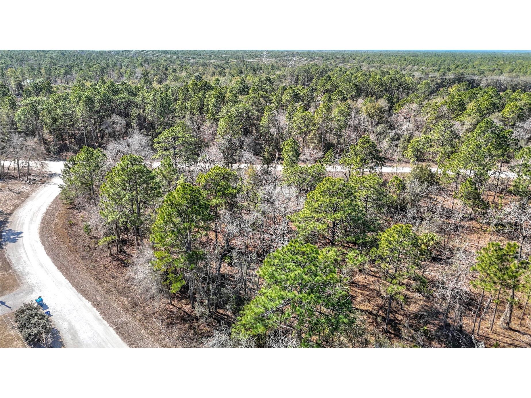 16070 Sheldrake Loop Weeki Wachee FL 34614 TB8473517 image9