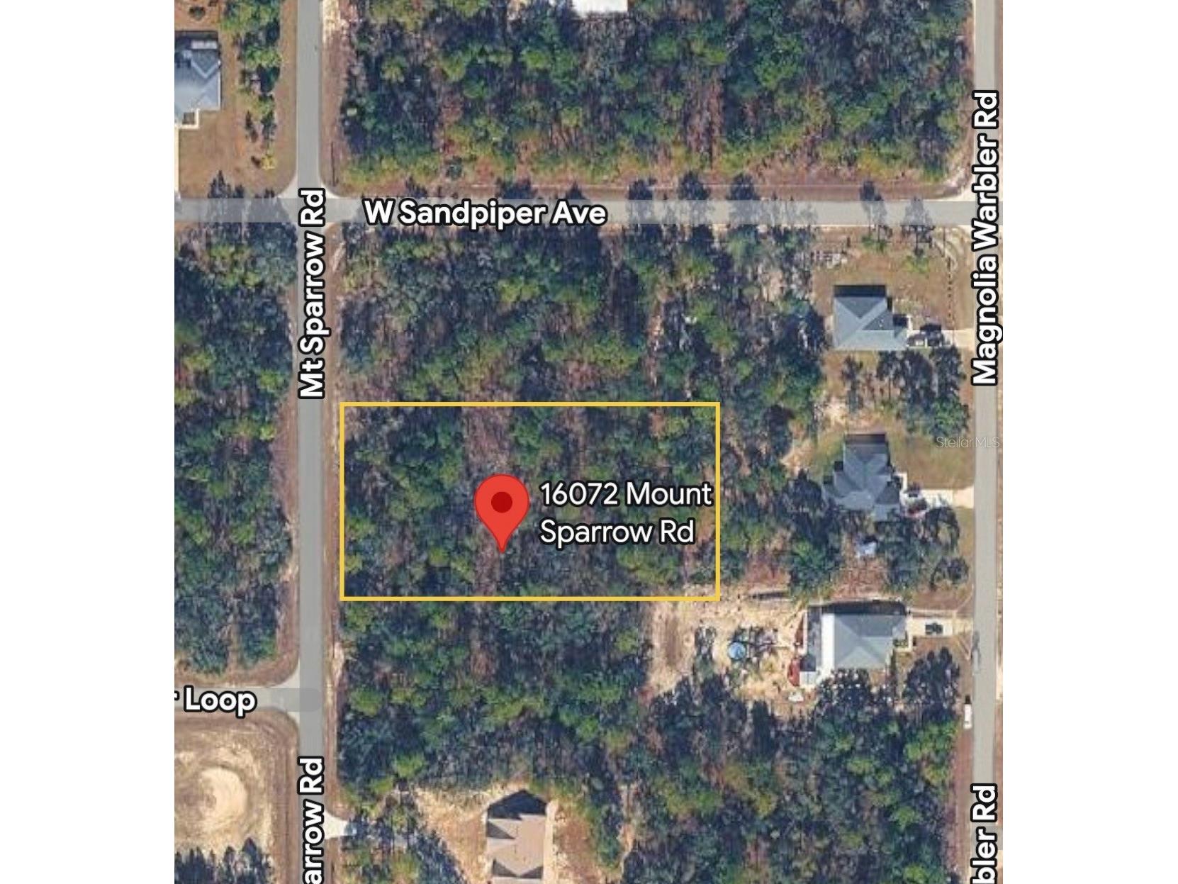 16072 Mount Sparrow Rd Brooksville FL 34614 W7882181 image1