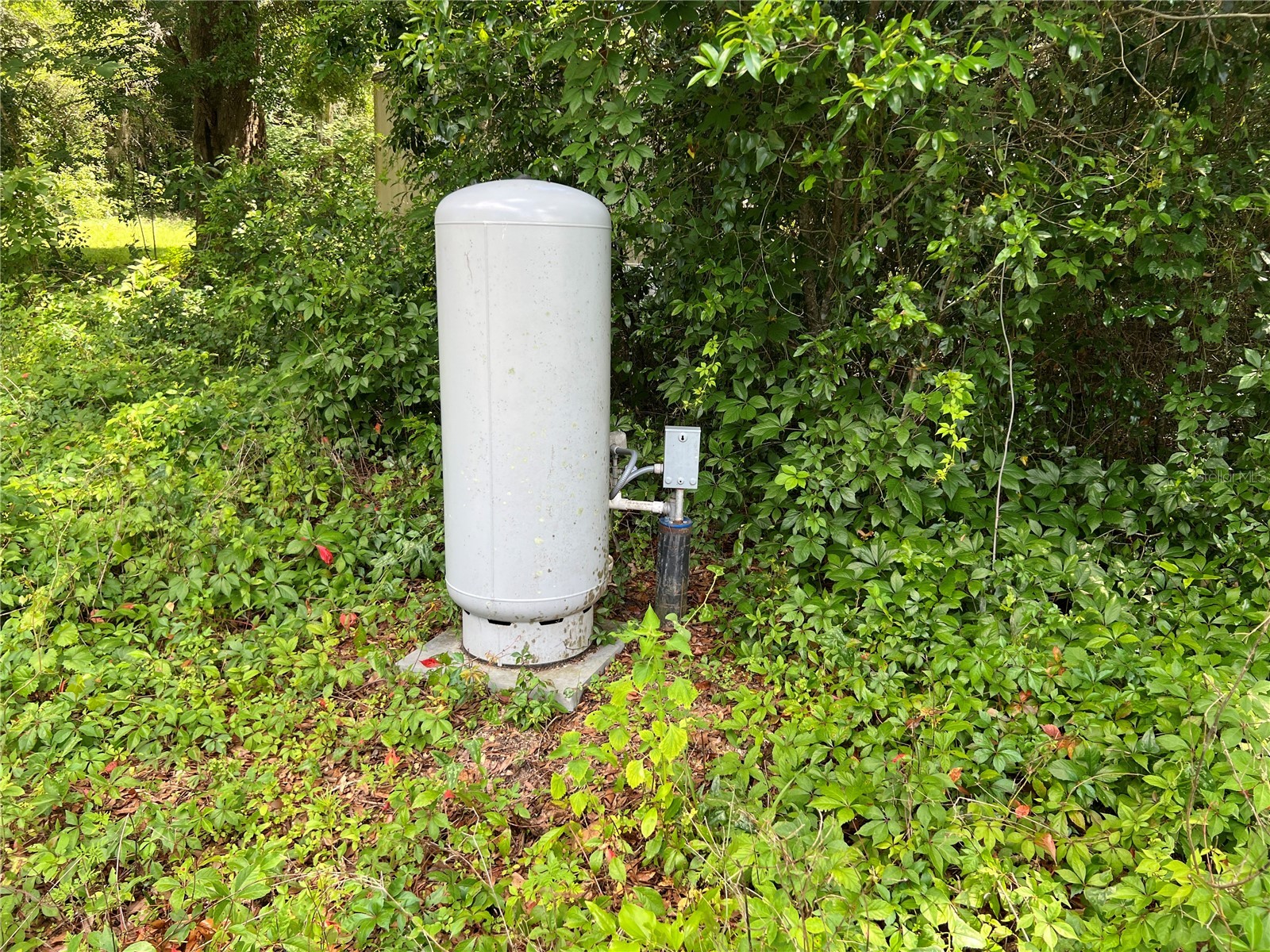 16075 NW 37th Terrace Reddick FL 32686 V4942731 image11