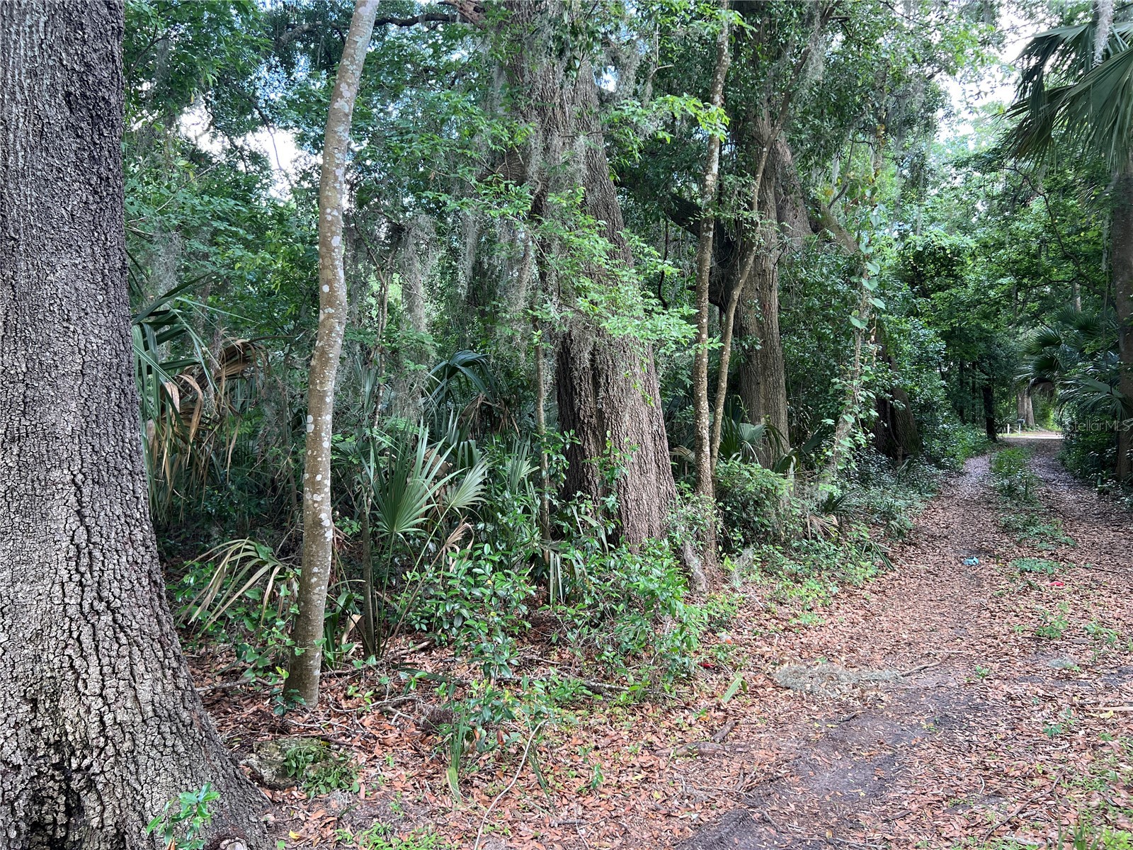 16075 NW 37th Terrace Reddick FL 32686 V4942731 image6