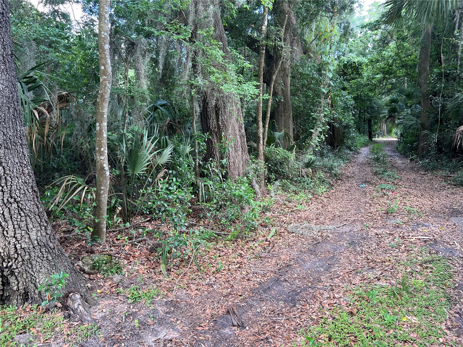 16075 NW 37th Terrace Reddick FL 32686 V4942731 image7