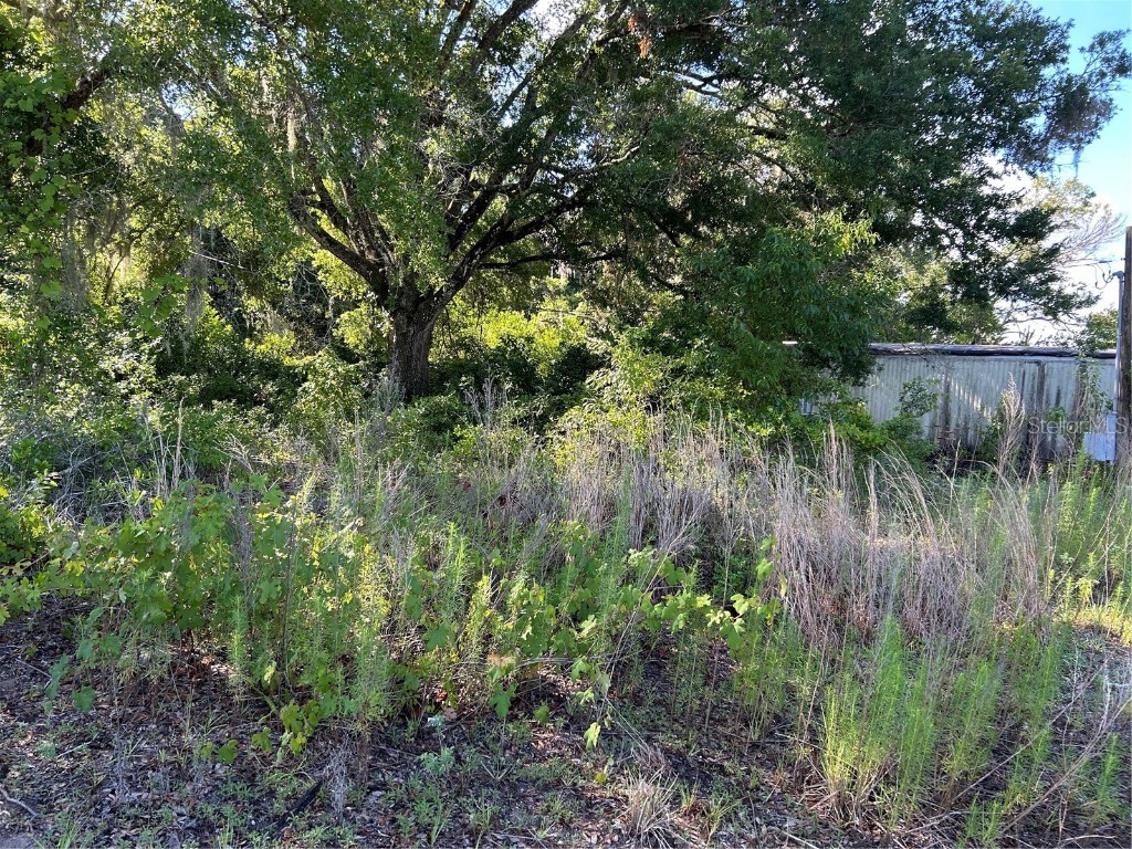 16076 Rester Drive Brooksville FL 34613 W7866393 image1