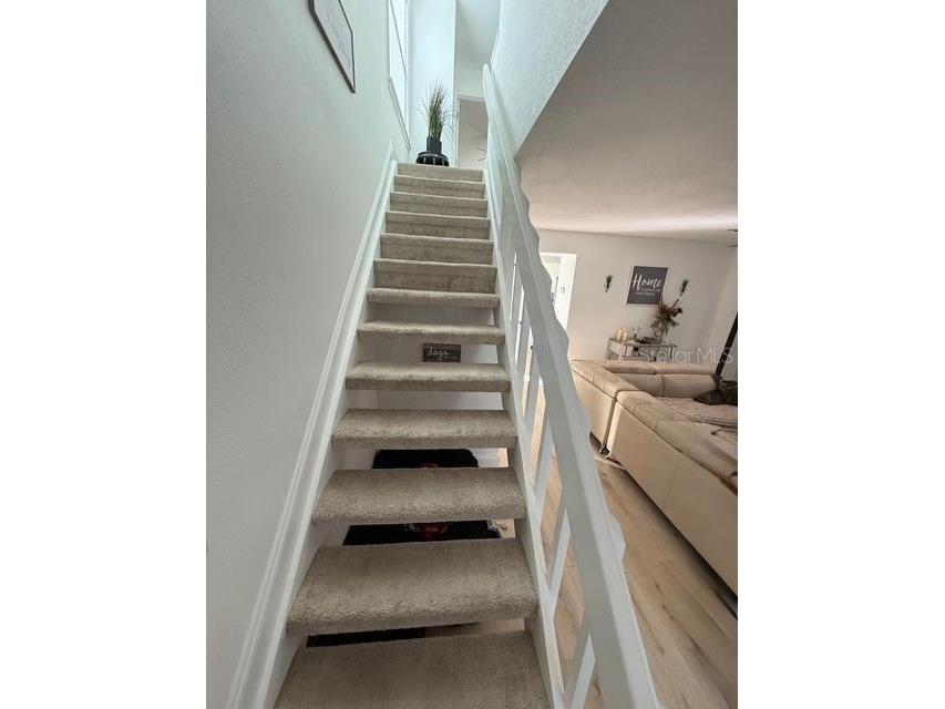 16077 Dawnview Drive Tampa FL 33624 A4679073 image16