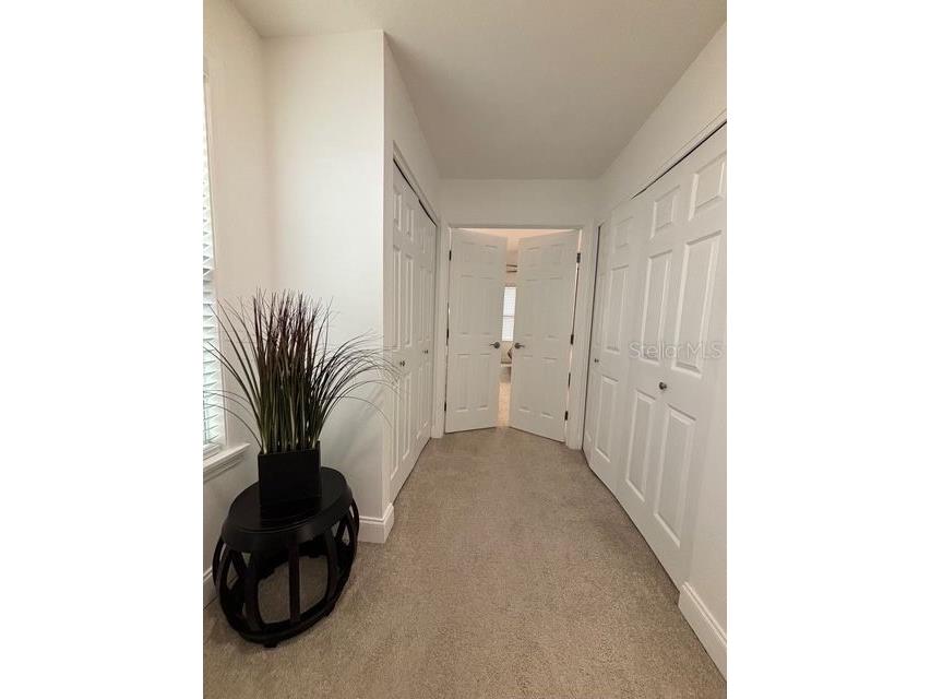 16077 Dawnview Drive Tampa FL 33624 A4679073 image17